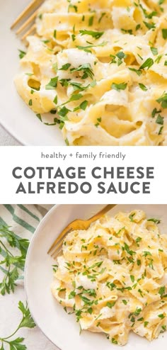 two plates filled with cottage cheese alfredo sauce