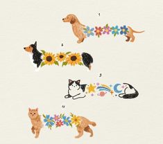 Dachshund Illustration, White Ink Tattoo, Machine Tattoo, Pressed Flower Crafts, Illustration Doodle, Flowers Illustration, Discreet Tattoos, Aesthetic Tattoo, Detailed Drawings