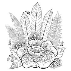 a black and white flower with leaves on the bottom, surrounded by pine cones and berries