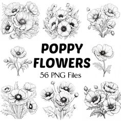 poppy flowers in black and white with the text poppy flowers 50 png files on it