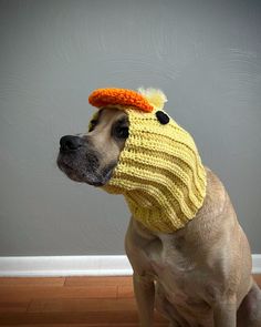 a dog wearing a yellow knitted hat with an orange top on it's head