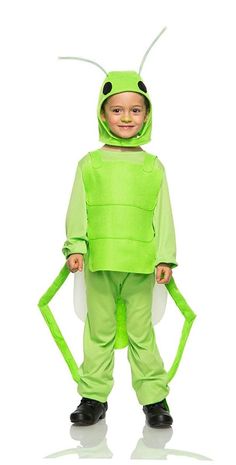 a little boy in a green costume with an insect on his head and arms out