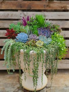 a planter filled with succulents sitting on top of a wooden pallet