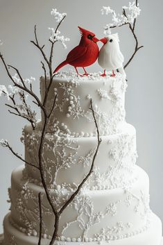 Christmas Cake Two Tier, Elegant Christmas Cake Ideas, December Wedding Cake, Christmas Theme Cake Ideas, Christmas Cake Ideas Elegant, Winter Wedding Cakes, Cassie Wedding, Christmas Birthday Cake, Christmas Wedding Centerpieces