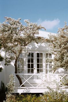 a white house with trees and bushes around it