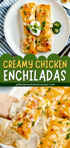 creamy chicken enchiladas are an easy and delicious appetizer