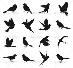 the silhouettes of birds are shown in different positions and sizes, including one black bird with