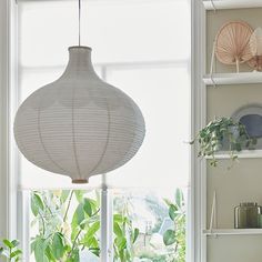 a living room filled with lots of plants next to a window covered in white shades