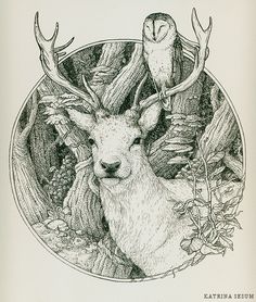 a drawing of a deer with an owl sitting on it's head and another bird in the background