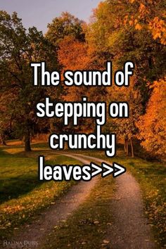 the sound of stepping on crunchy leaves