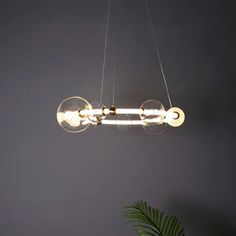 a modern chandelier hanging from the ceiling over a table with a potted plant