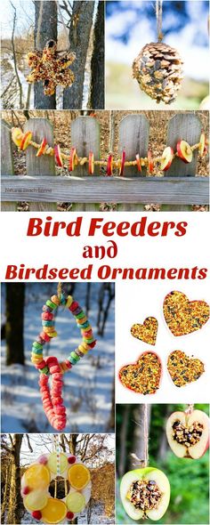 bird feeders and birdseed ornaments