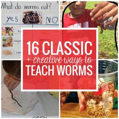 a collage of photos with words and images about different ways to teach wormies