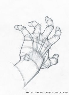 a drawing of a hand holding something in it's left hand with lines drawn on it