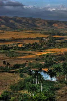 an aerial view of a valley with palm trees and mountains in the background, under a cloudy sky