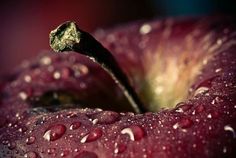 an apple with drops of water on it