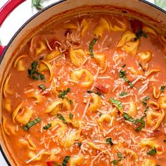 a red pot filled with pasta and sauce