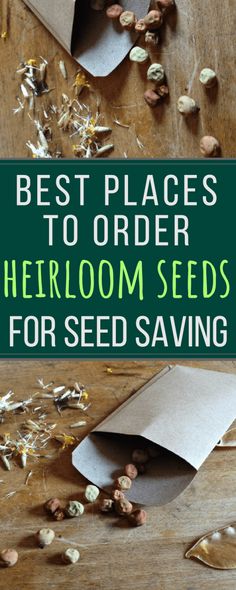 the best places to order heir seeds for seed saving