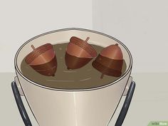 three brown cups filled with liquid sitting on top of a white table next to an acorn