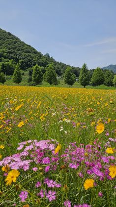 a field full of wildflowers and trees in the distance with mountains in the background