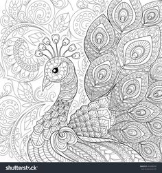 a black and white drawing of a peacock with intricate designs on it's feathers