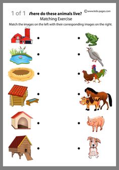 a worksheet with animals and their names