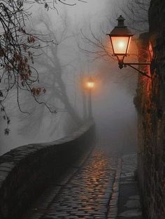 a street light on a cobblestone road in the fog