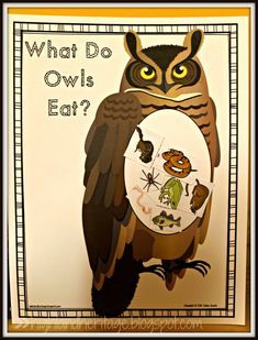 what do owls eat? with an owl holding a plate