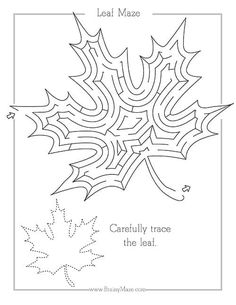 the leaf maze is shown in black and white, with text below it that reads'carefully trace the leaf '