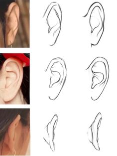 several different types of ear shapes