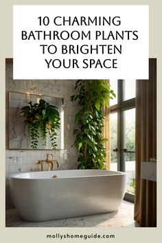 a white bath tub sitting next to a window with green plants on the wall in front of it