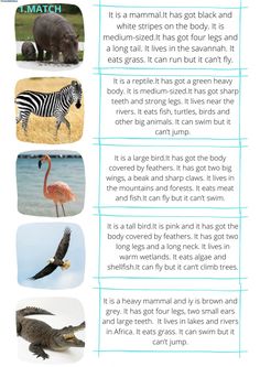 an info sheet describing different types of animals