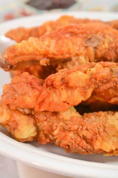 some fried food on a white plate