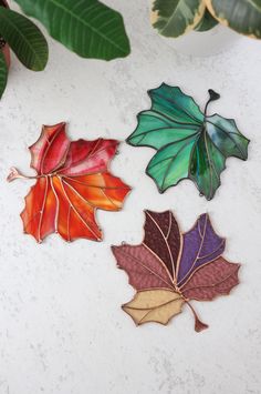 three leaf shaped glass magnets sitting on top of a table next to a potted plant