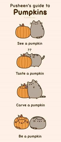 the pusher's guide to pumpkins is shown with cats and pumpkins