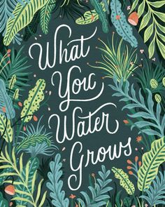 the cover of what you water grows, with green leaves and flowers on black background