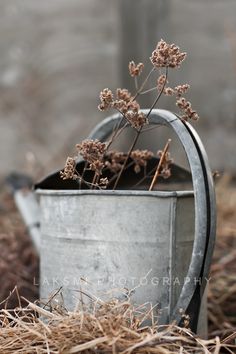 a metal bucket filled with dirt next to a plant in the middle of dry grass