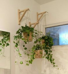 three hanging planters filled with green plants in front of a bathroom mirror and sink