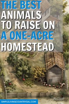 the best animals to raise on a one - acre homestead