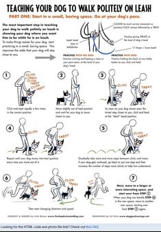 a poster explaining how to teach your dog to walk on leashes with instructions in english