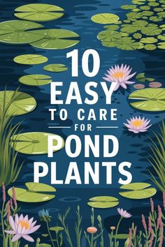 10 Easy Pond Plants Native to the USA US Natives. Water Lily Water Pond Plants