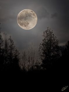 the full moon is shining brightly in the night sky over some trees and dark clouds