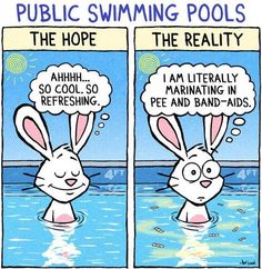 two cartoon rabbits in the water with thought bubbles above them that say,'i am literally floating in pee and band - aids '