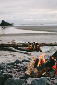 a campfire on the beach with logs and fire in it's foreground