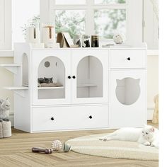 a cat laying on top of a rug next to a white cabinet with shelves and doors