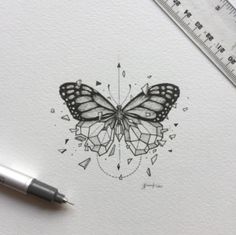 a drawing of a butterfly on paper next to a ruler