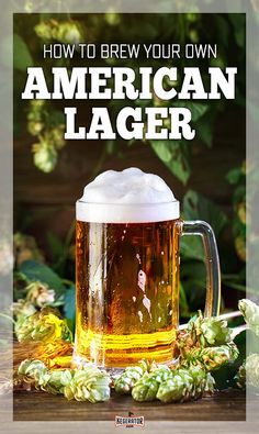 an american lager with hops and beer in the foreground text reads how to brew your own american lager