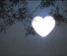 a heart - shaped object is seen through the branches of a tree in the dark