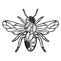 a black and white drawing of a bee with two wings on it's back