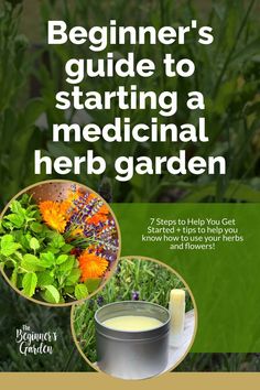 the beginner's guide to starting a medical herb garden